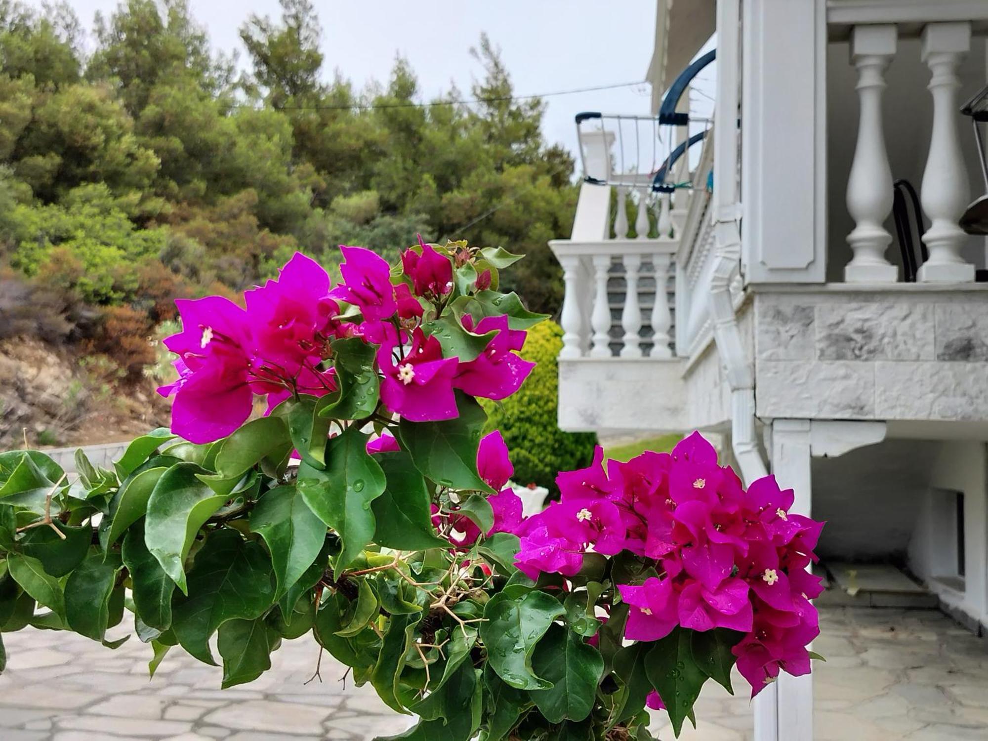 Althea Lux Home Chalkidiki Akti Salonikiou Esterno foto